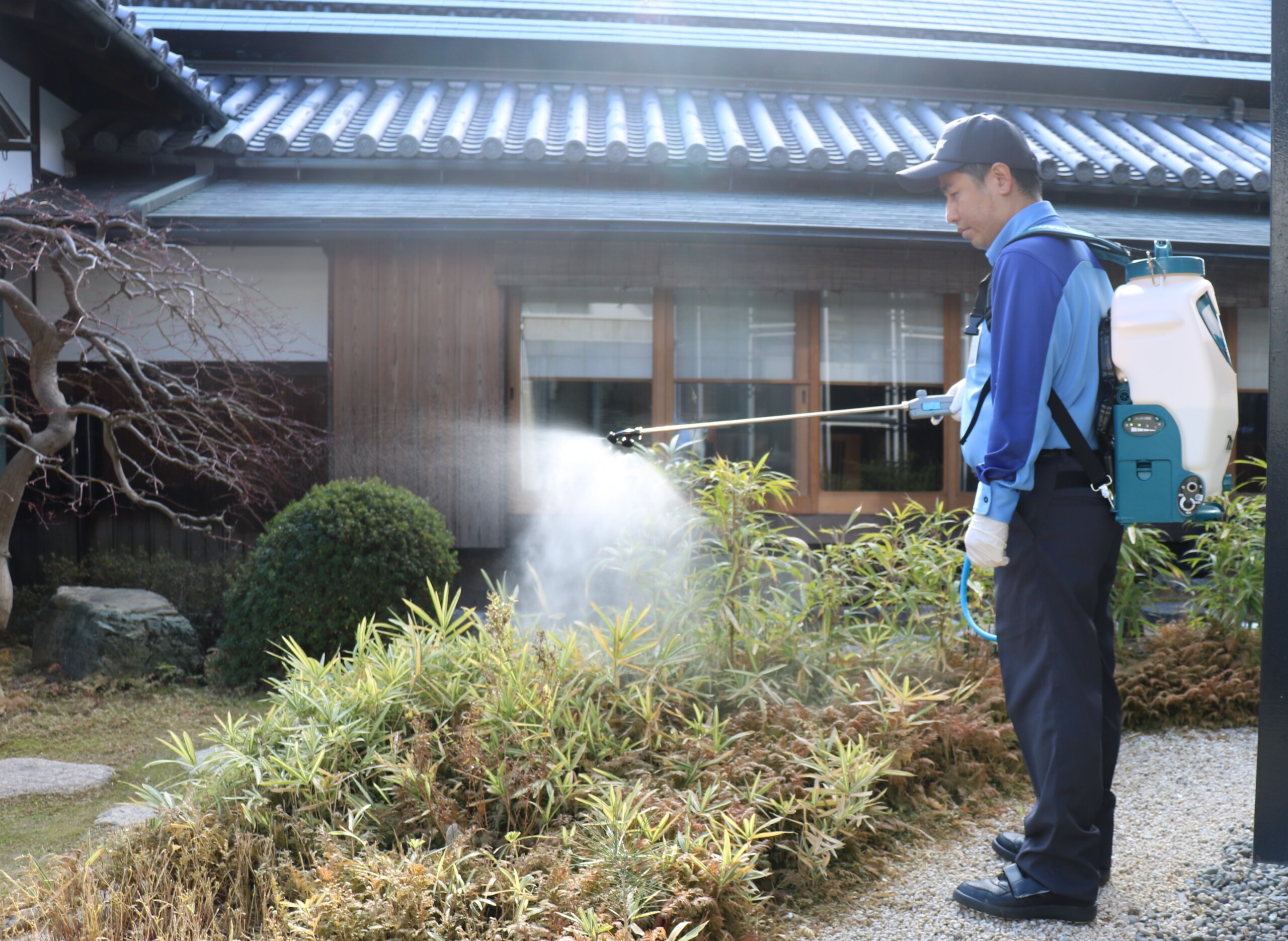 夏の最強対策!蚊取り線香はもう必要ございません!!ダスキン江崎支店の安心・安全な《蚊点検・予防サービス》で快適な夏を！ - ダスキン江崎支店