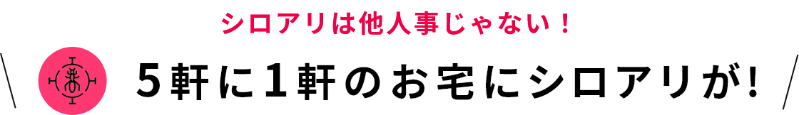 シロアリは他人事じゃない！5軒に1軒のお宅にシロアリが!