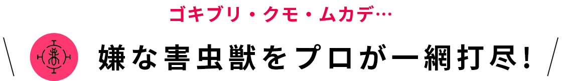ゴキブリ・クモ・ムカデ…嫌な害虫獣をプロが一網打尽!