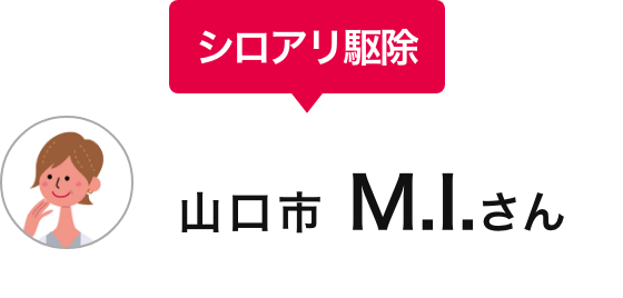 シロアリ駆除