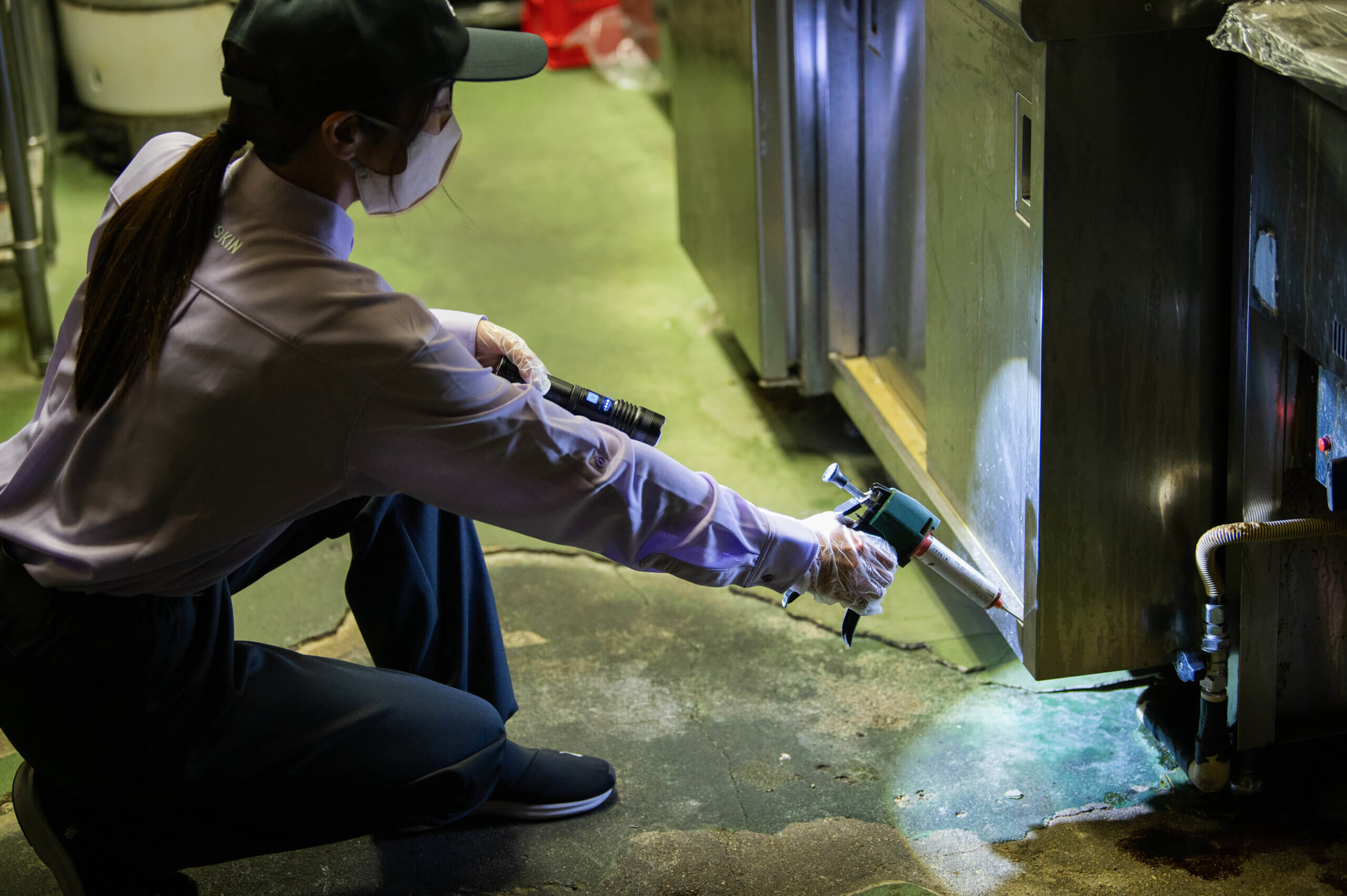 「え、まだ早い？」は間違い！冬こそゴキブリを『一網打尽』にできる黄金シーズンです！ゴキブリ防除はダスキン江崎支店で！ - ダスキン江崎支店